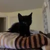 bethtitus1 - @bethtitus1 - TikTok