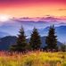 Beth Tolley - Facebook