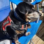 Beth Tompkins - @bethsnikpmot - Instagram