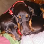 Beth Tompkins - Facebook
