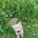 Beth Troyer - @troyer_beth - Instagram