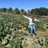 elizabeth_troy - @elizabeth_troy - TikTok