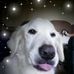 Beth Turek - Facebook