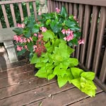 Mary Beth Delaplane Turek - @marybethturek - Instagram