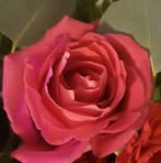 Bethany Umholtz - Facebook