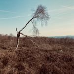 Beth Upton - @scatteredbybadgers - Instagram