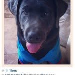 Beth Utley - @10smom24 - Instagram