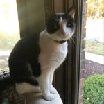 Beth Utley - @e_beth_utley - Instagram