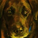 Beth Weyer-Utley - Facebook