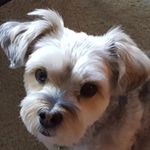 Beth Vail Palm - @bethvailpalm - Instagram
