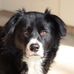 Beth Grobner Vandenberghe - Facebook