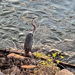 Beth Varner Wardeberg - @bwardeberg - Instagram