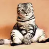 bethvillar8 - @beth.villar - TikTok