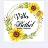 Villa Bethel - @villabethel - TikTok