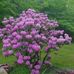 Beth Vowell Barnes - Facebook