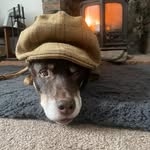 Beth Waite - @mycountrylife43 - Instagram