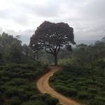 Beth Waite - @waite_beth - Instagram