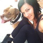 Beth Warner Sullivan - @beth_warner_sullivan - Instagram