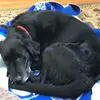 bethwarrick436 - @bethwarrick436 - TikTok