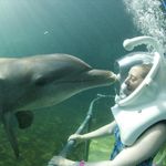Beth Weir - @bethtait2018 - Instagram