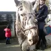 Beth weir - @equestrian.bethx - TikTok