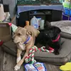 Beth Weirich - @beth.weirich - TikTok
