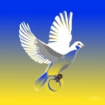 Beth Morrison Wesolowski - Facebook