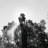 Brett Wesoloski - @bwesoloski - TikTok