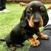 Beth Whitney - @beth.whitney6 - TikTok