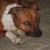 bethwhitney06 - @bethwhitney06 - TikTok