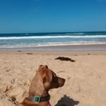 Beth Wieland - @beeandthebears - Instagram