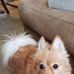 Elizabeth L Wiggins - Facebook