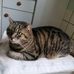Elisabeth Wimmer - Facebook
