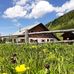 Elisabeth Wimmer - Facebook