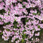 Beth Winters - @bethwinters56 - Instagram
