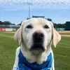 Betty Winters - @betty.winters1 - TikTok