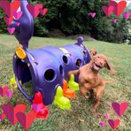 Beth Wise - Facebook