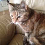 Betsy Margaret Wolstenholme - @wolstenholmemargaret - Instagram