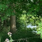Beth Worley - @rocky_landing - Instagram