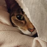 Beth Worley-Engle - @bethengle3 - Instagram