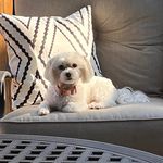 Beth Worman - @beth_worman - Instagram