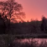 Beth Wortman - @beth_wortman - Instagram