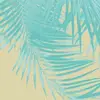 B - @bethh.wright - TikTok