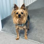 Betty.Wrigley6 - @betty.wrigley6 - Instagram