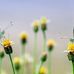 Anne-Beth Gy Wulff Halberg - Facebook