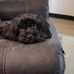 Beth Wyatt - Facebook