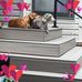 Beth Wyatt - Facebook