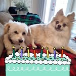 Beth Wyrick Amick - @bethannsam_ - Instagram