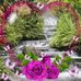 Beth Yarbrough - Facebook
