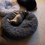 Beth Yates Chappell - @beth.yates.chappell - Instagram